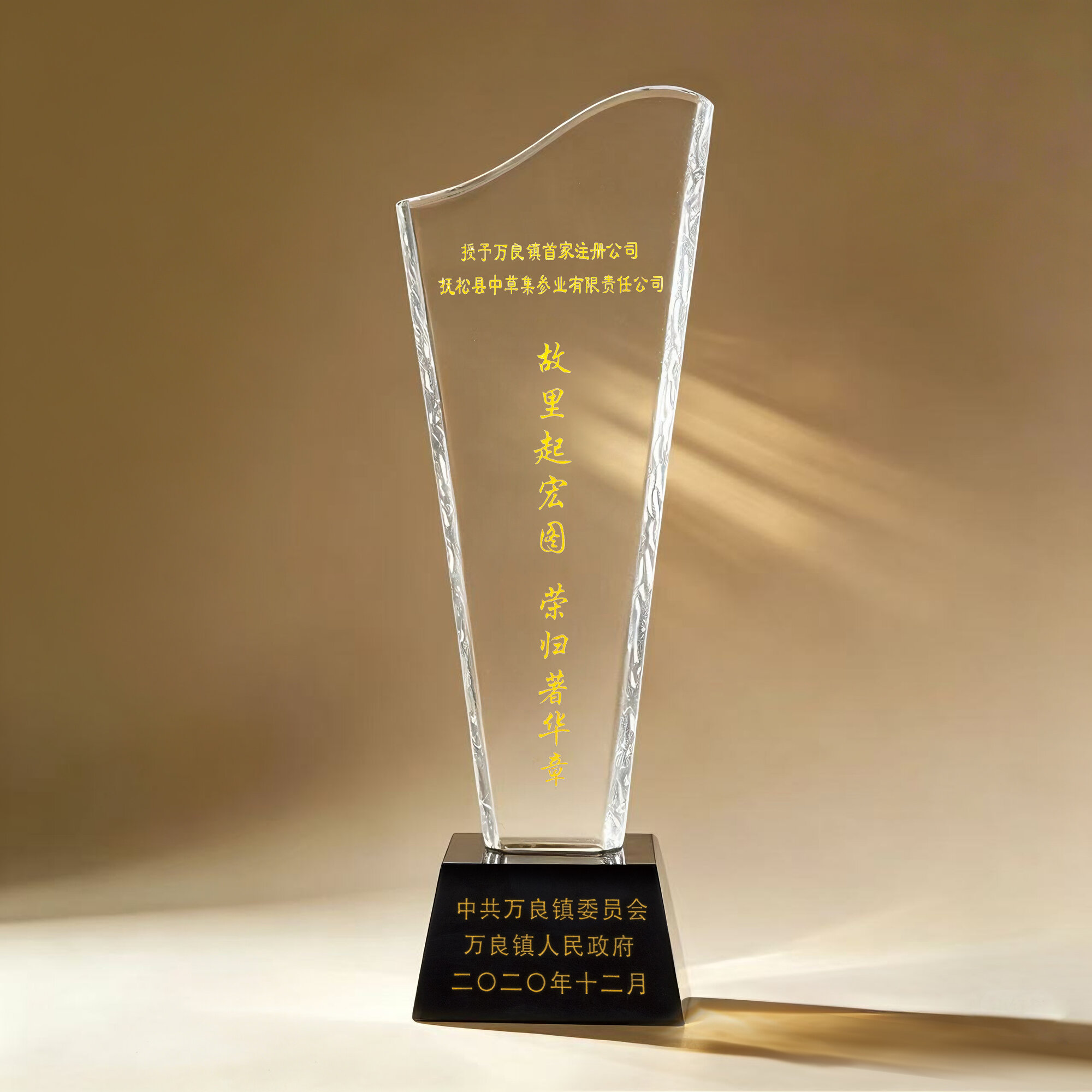 万良镇首家注册公司奖杯