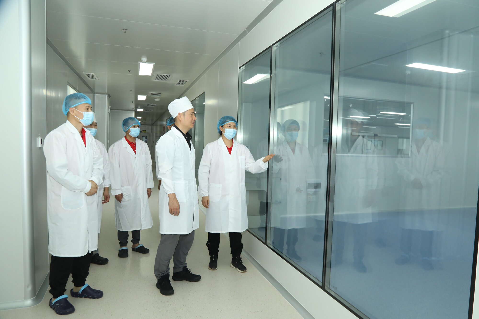 中草集洁净车间